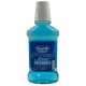 Oral-B Mouthwash pro-expert 250ml lasting freshness