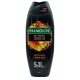 PALMOLIVE MEN tusfürdő Spice Up 500 ml